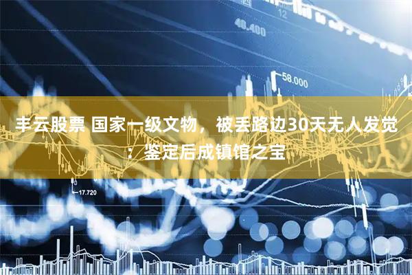 丰云股票 国家一级文物，被丢路边30天无人发觉：鉴定后成镇馆之宝