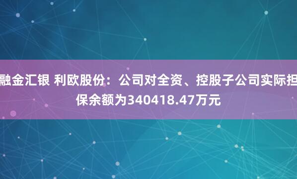 融金汇银 利欧股份：公司对全资、控股子公司实际担保余额为340418.47万元