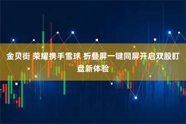金贝街 荣耀携手雪球 折叠屏一键同屏开启双股盯盘新体验