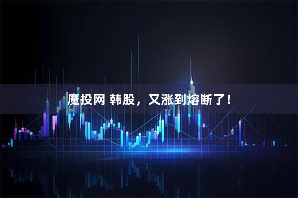 魔投网 韩股，又涨到熔断了！